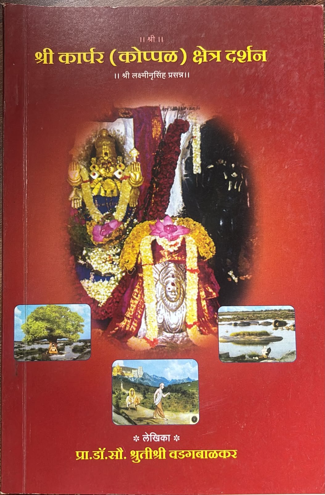 Cover of Shri Koppal Nrusinha Darshan